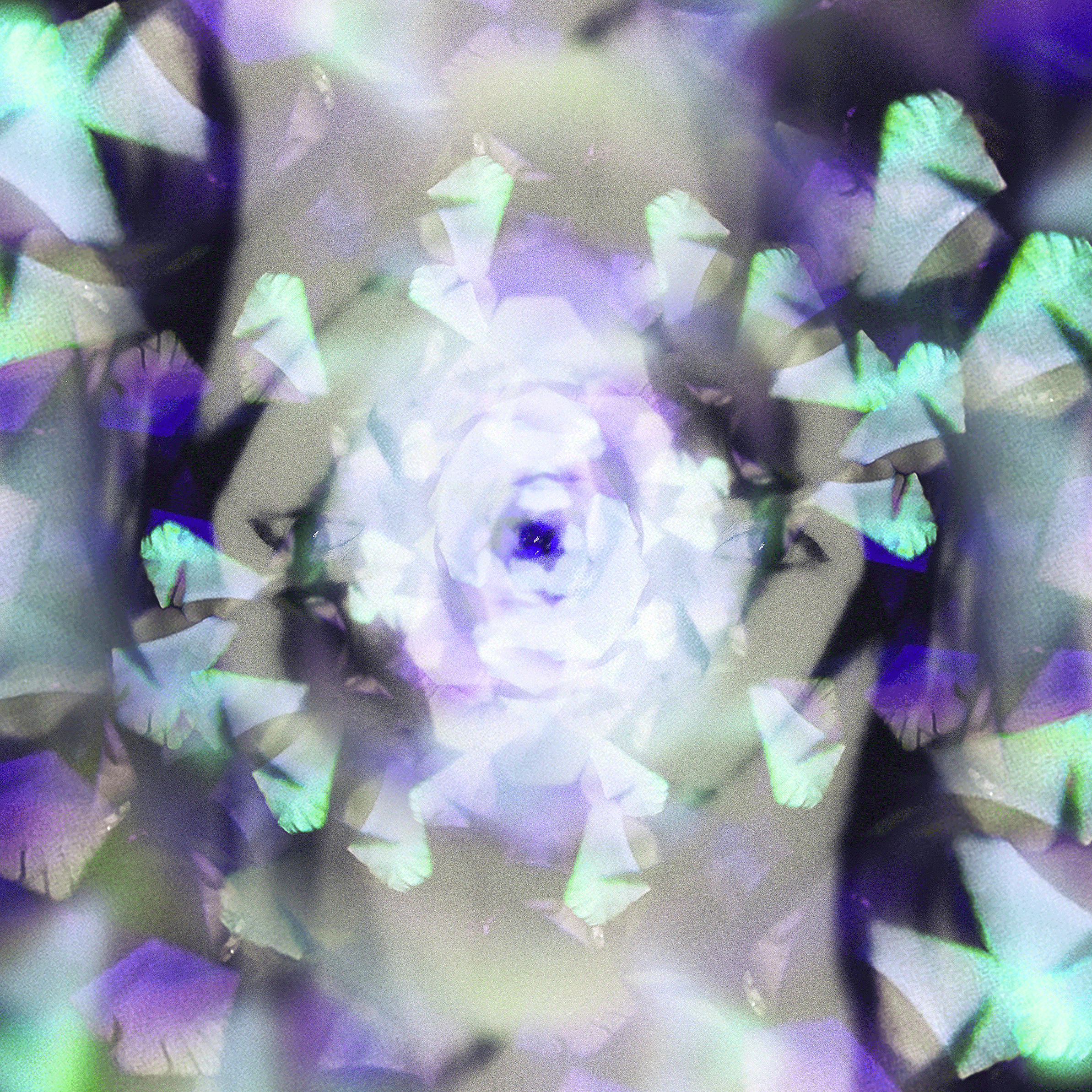 papillons