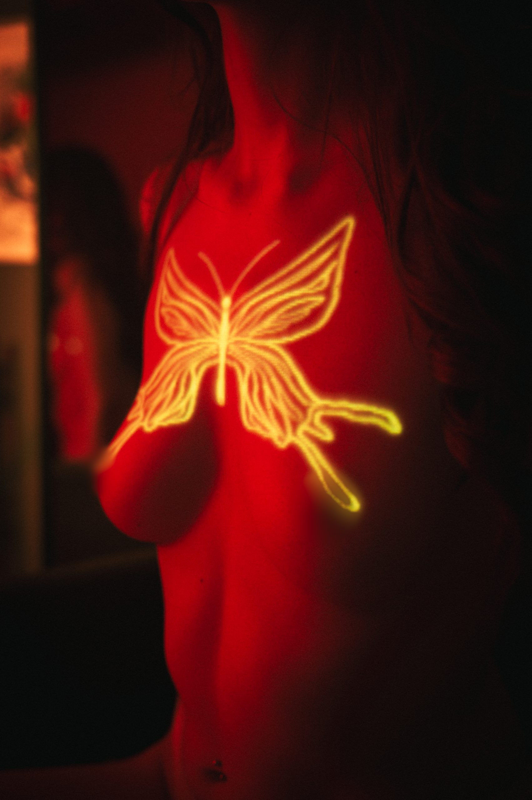 mariposa